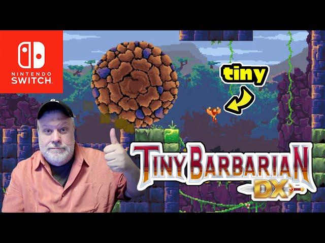 Tiny Barbarian DX | Nintendo Switch | gogamego