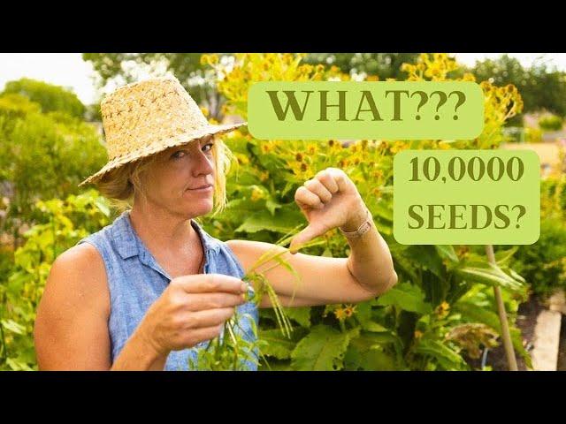 Controlling Weeds in an Organic Garden