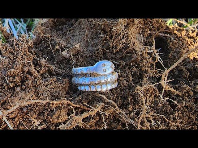 I Found A Solid Silver Rattlesnake Ring And Silver War Relics!