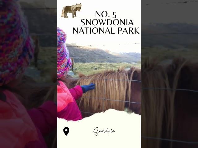Top 10 Things to do in North Wales with Kids #northwales  #anglesey #northwalesthingstodo #travelmum