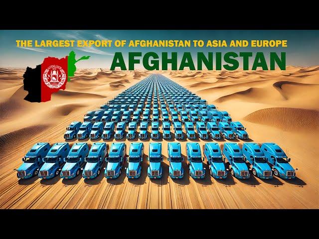 The largest export of Afghanistan to Asia and Europe.