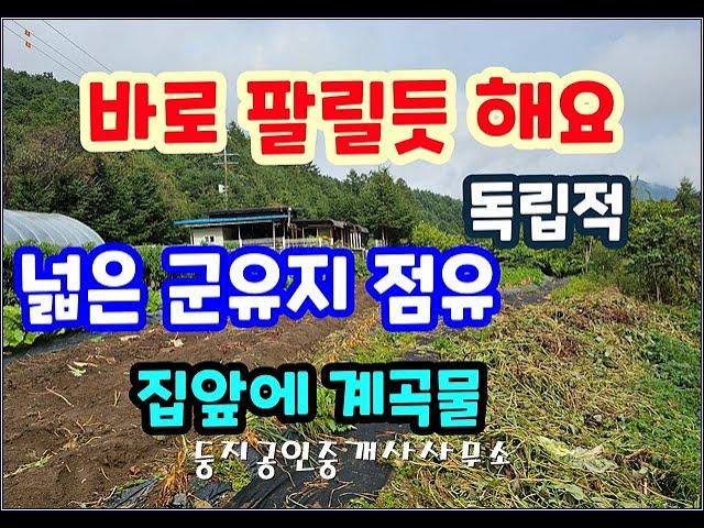 (횡성전원주택) 군유지와 계곡물 독립적이고 자유로운 전원생활 새말IC15안거리 1억2800만원