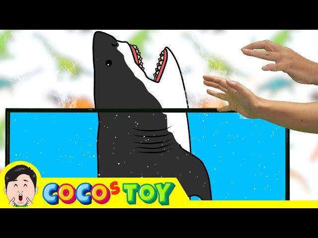 Raising Great white sharks at home｜great white shark song, whales & sharks cartoon｜CoCosToy