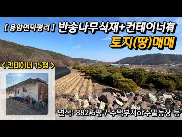 [성주토지매매] 반송나무 식재+컨테이너有 주말농장/주택부지 추천드리는 토지 매매합니다⭐️