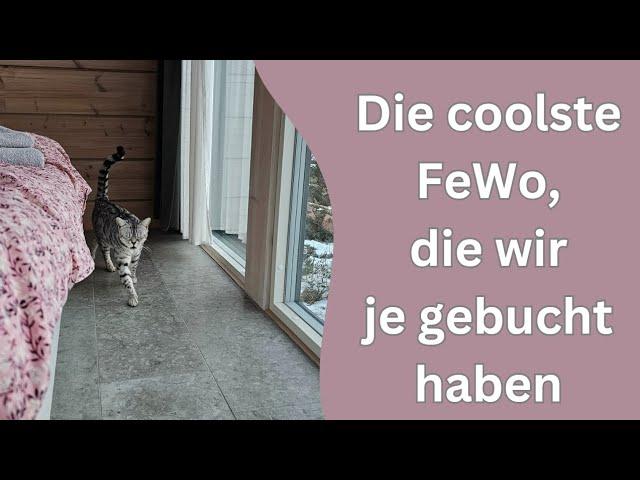 Eine extrem luxuriöse Ferienhütte wo Katzen und Hunde erlaubt sind?! Wo sind wir?!