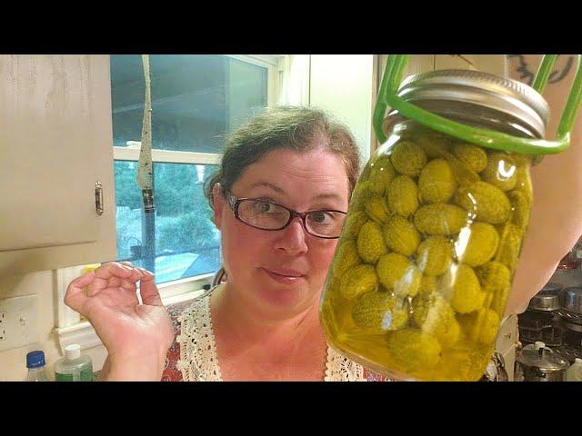 Pickled cucamelons- Canning Mexican sour gherkins