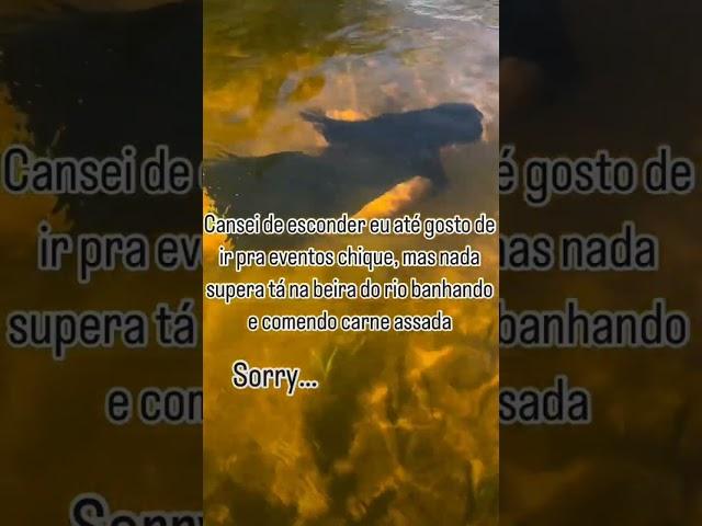 Cansei de esconder eu até gosto de ir para evento chique mas nada supera a beira do rio  #videos