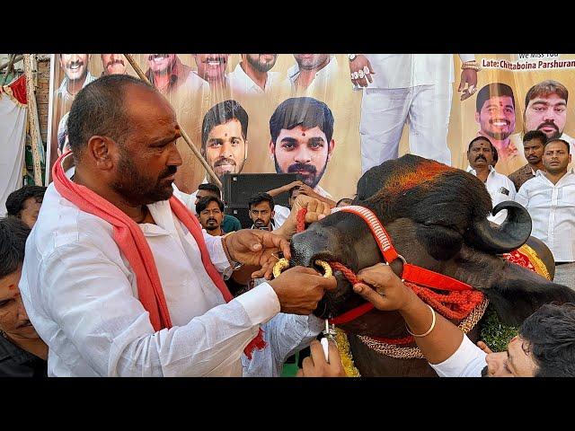 Chappal Bazar Laddu Yadav Sadar 2022 | Bull Bahubali Special Attraction for Sadar 2022