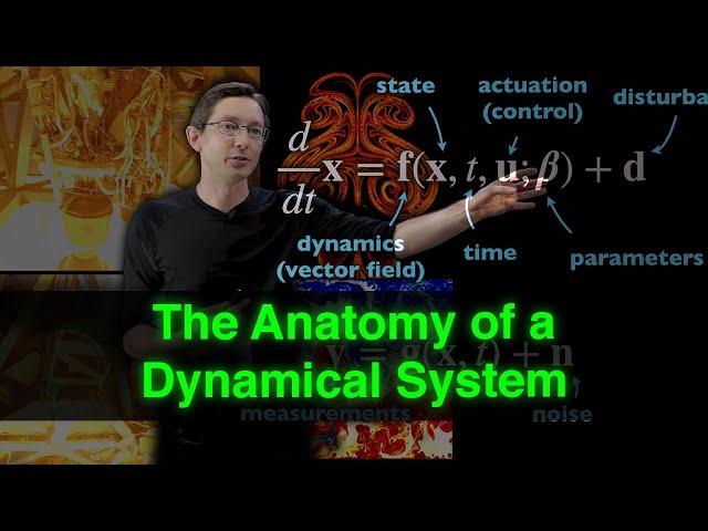 The Anatomy of a Dynamical System