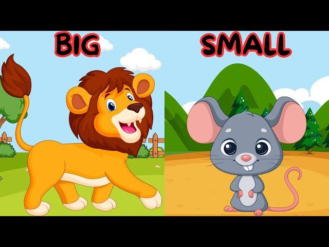 Animal Opposites Song for Kids | Big & Small, Fast & Slow Opposites for Kids, Sing & Learn Opposites