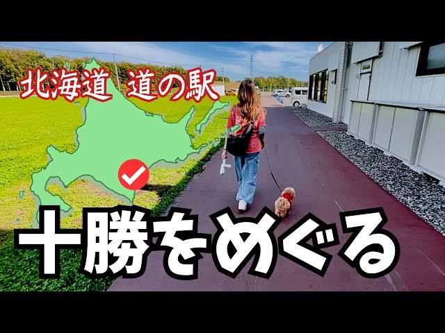 【愛犬と北海道 道の駅スタンプラリー2023／17】十勝エリアを巡ります① 道の駅にある開拓記念館は お食事も美味しかった！他