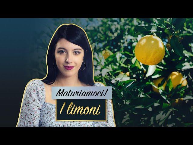 I limoni – Eugenio Montale | Analisi e commento