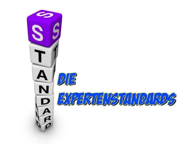 Expertenstandards