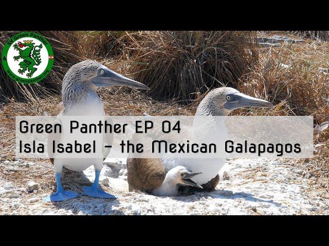 GP EP04 Isla Isabel - the Mexican Galapagos