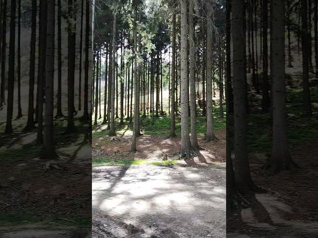підйом на гору Йештед. Північ Чехії.Ліберецький край.