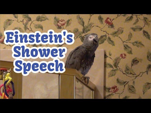 Einstein's Shower Speech - Talking, Singing, & Dancing!