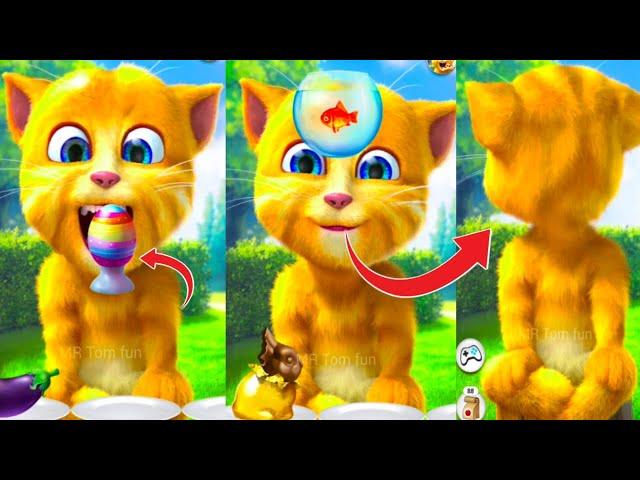 Talking Ginger Funny Videos  | talking tom | talking ginger | tom |