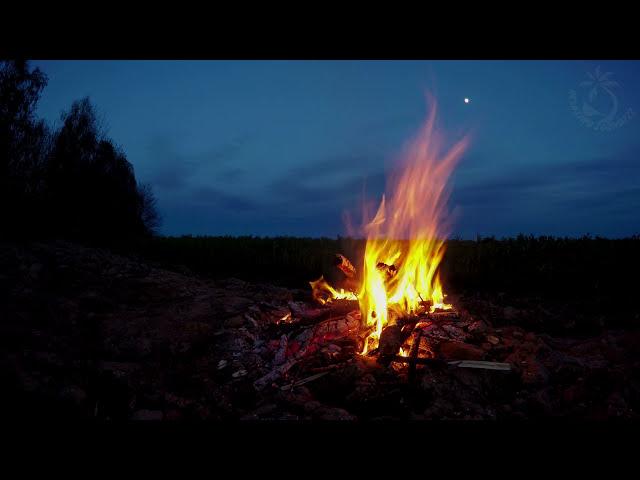  Campfire Ambience with Night Animals such as Owls and Crickets. Made for Relaxation & Sleep, Enjoy