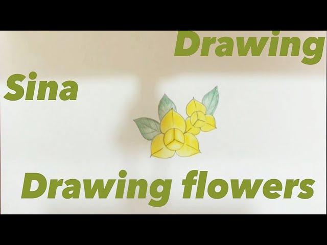 How to draw the flower of RomDuol and paintings2