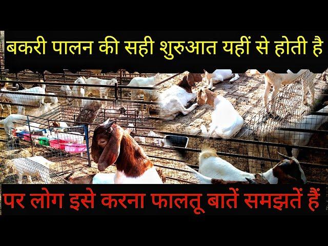 Goat farming business plan || Goat farming Knowledge || Goat farming