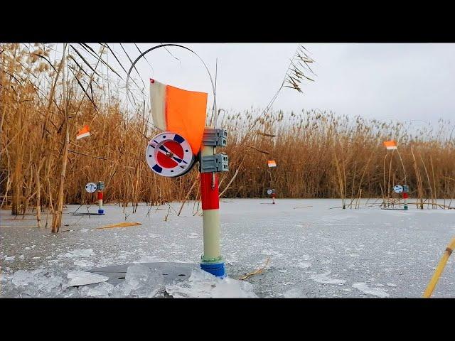ПЕРВЫЙ ЛЁД 2023-2024. ОПАСНЫЙ ПЕРВЫЙ ЛЁД. ЛОВЛЯ ЩУКИ НА ЖЕРЛИЦЫ. Зимняя рыбалка на жерлицы