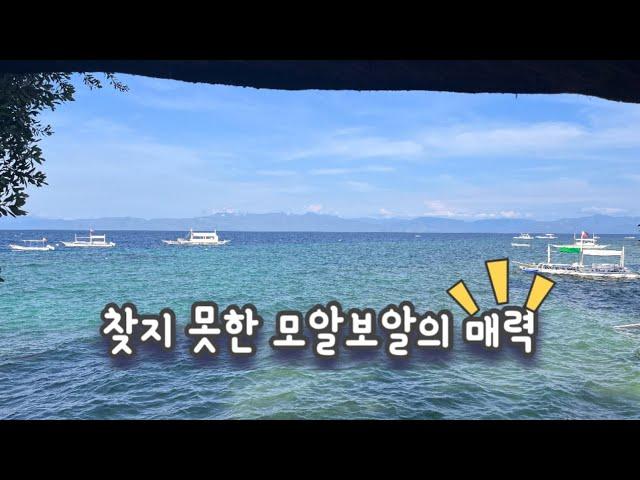 모알보알2박3일 | 쉽지않다필리핀 | 모알보알의매력뭔가요?