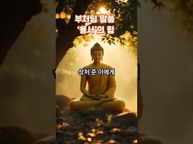 부처님 말씀 ‘용서’의 힘  #부처님말씀 #마음의등불 #인생지혜 #불교이야기 #힐링 #명언