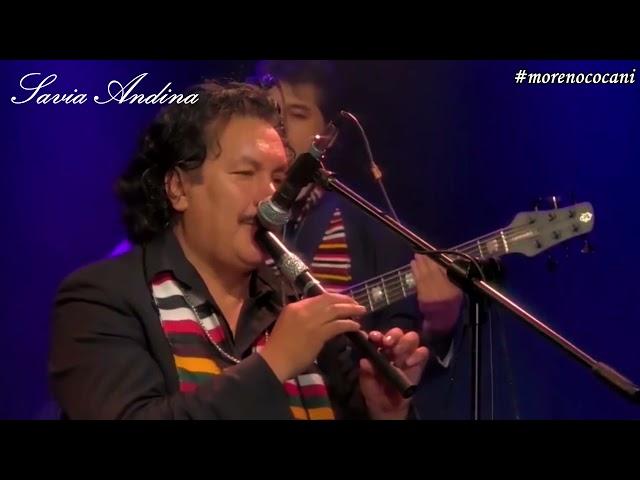 SAVIA ANDINA MIX MORENADAS - LA MENTIROSITA; MANTILLA DE VICUÑA; LA CHASKAÑAWI (En Vivo) 🟡🟢