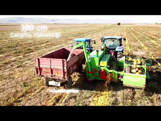 TAM OTOMATİK KABAK HASAT MAKİNESİ. Pumpkin seed harvesting