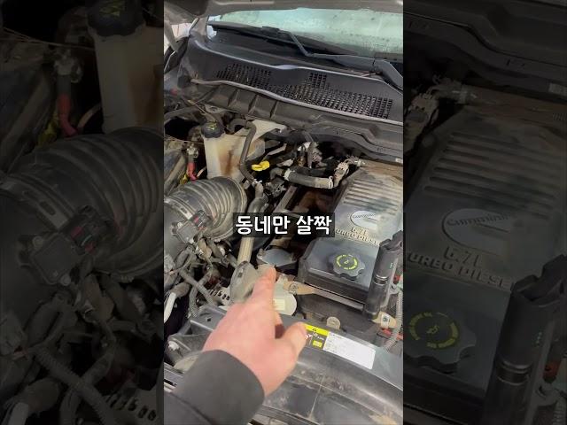 이런 사람은 디젤 차 타면 안 됩니다