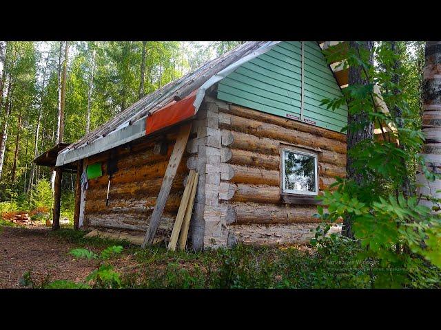 Life Alone in the Forest, Off Grid cabin, Far North, camping on the river