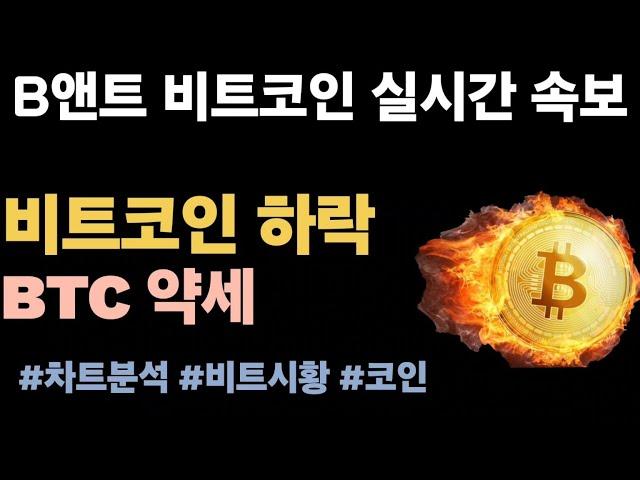 [실시간 LIVE] 비트코인 93K! / 비트코인 9만3000달러 초반대 거래…장밋빛 전망에도 하락세 #비트코인실시간 #이더리움 #리플 #솔라나 #도지코인