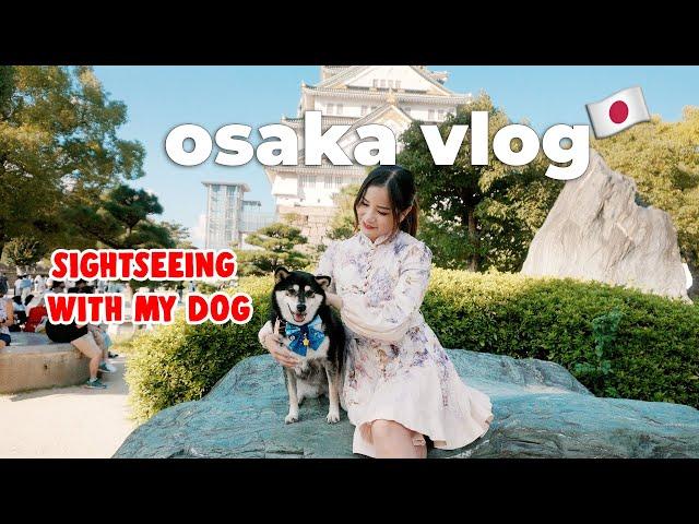 Last Days Sightseeing in Osaka  Seeing my family, back to Tokyo  | Japan Travel Vlog