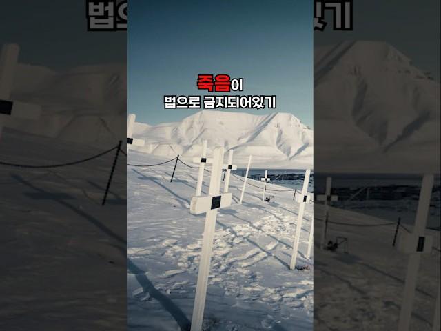 세계에서 유일하게 죽음과 고양이가 금지된 마을