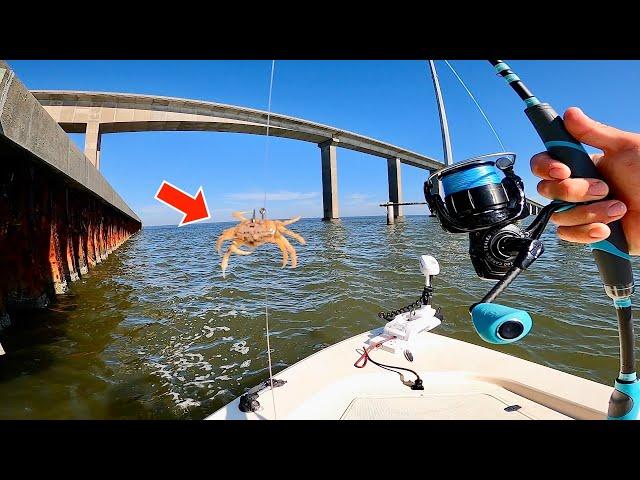 Using LIVE! CRABS Under This HUGE! BRIDGE in the BAY