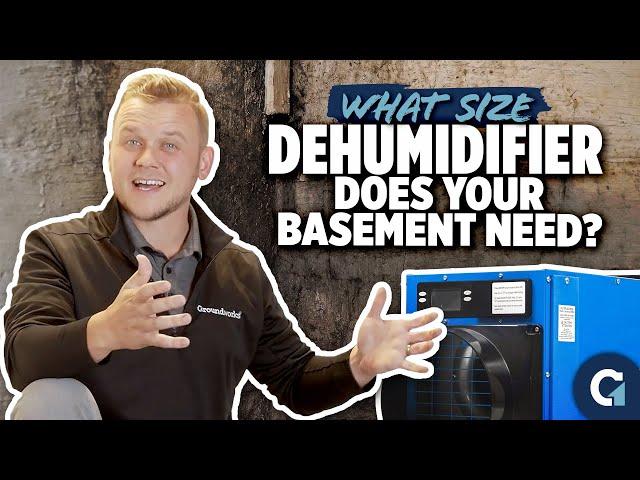 How to Choose the Right Dehumidifier for Your Basement | Benefits & Sizing Guide