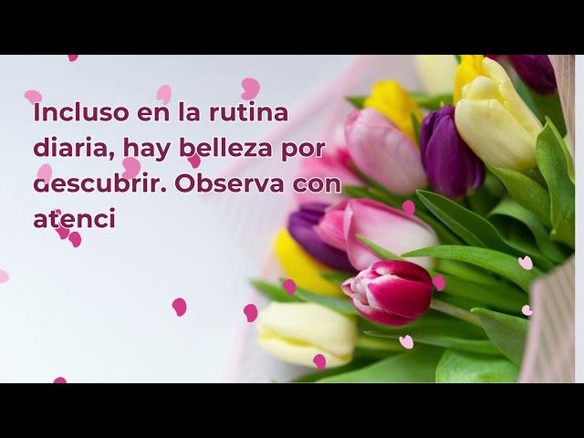 'Una Tarde llena de Felicidad y Emoción - Inspiración Diaria