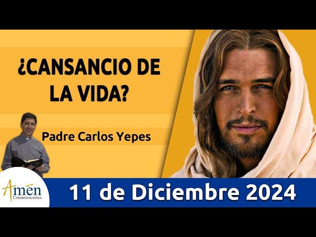 Evangelio De Hoy Miércoles 11 de Diciembre 2024 #PadreCarlosYepes l San Mateo 11,28-30 l Misa