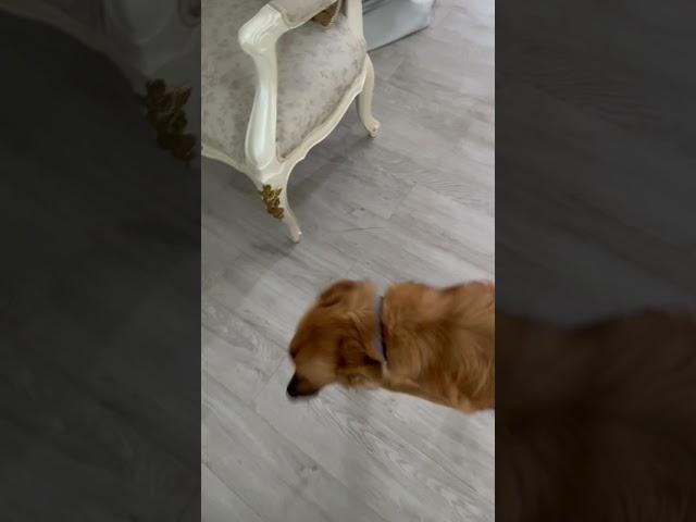 Her exercise inside the house, no time to ‍