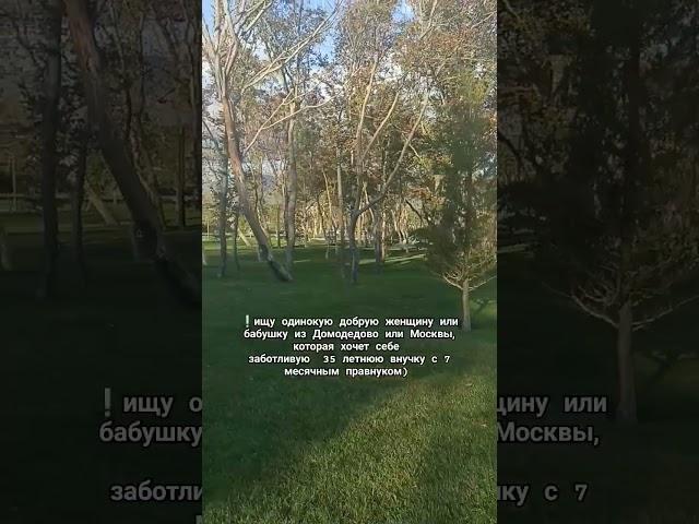 пишите🫶#семья#любовь#позитив #творимдобро #забота#добро#мир#