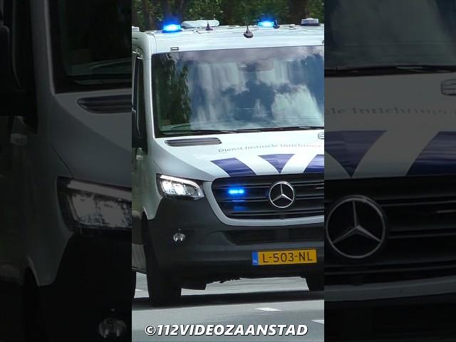 Prioritaire rijtraining DJI DV&O door Zaandam! #justice #justitie #police #polizei #policia #einsatz