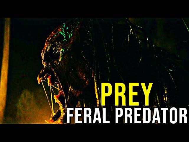 PREY (Feral Predator Hunt of 1719 + Ending) EXPLAINED