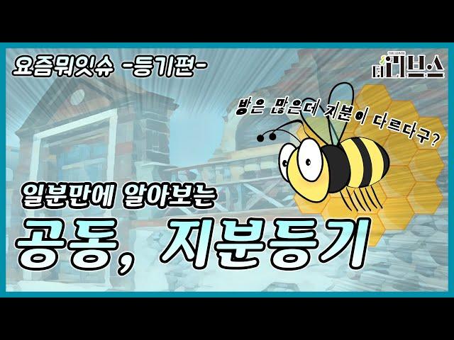 [요즘뭐잇슈] 지분등기 공동등기