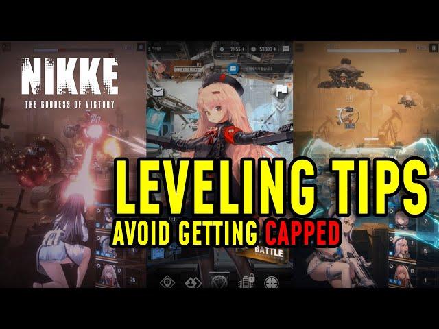 NIKKE : Goddess of Victory | A guide to level your team for long term progression