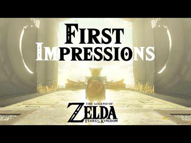 My Tears Of The Kingdom First Impressions!!!