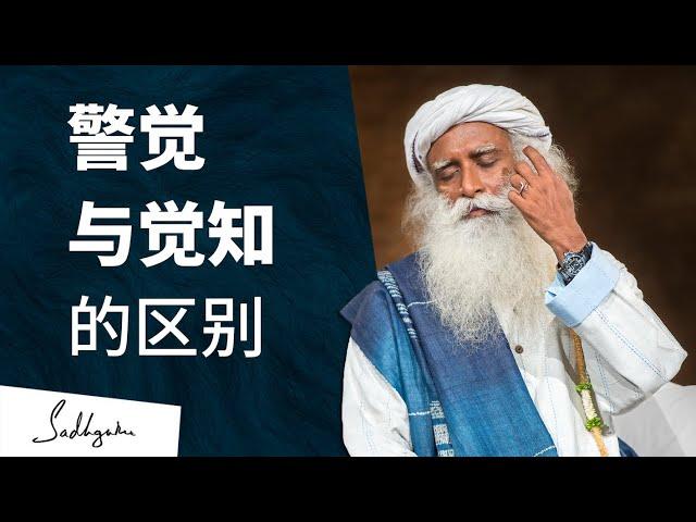 警觉与觉知的区别 | 萨古鲁 Sadhguru