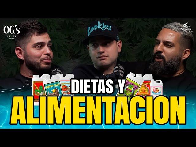 OG´s - Capitulo 5 - DIETAS Y ALIMENTACION