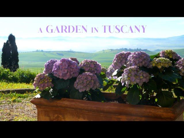 RENOVATING A RUIN: The Joy of Hard Work & Family in a Garden in Tuscany, Italy (Ep 55)