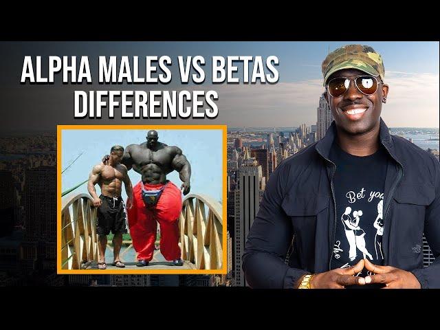 Alpha vs Beta Male Tactics - KEY DIFFERENCES