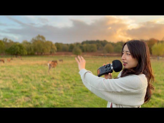 ASMR at Richmond Park | London